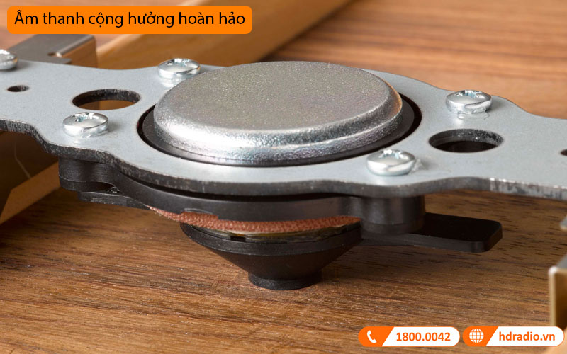 Đàn Guitar Yamaha FG-TA