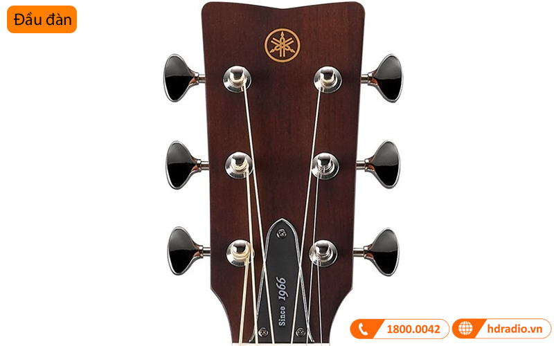 Đàn Guitar Yamaha FG3