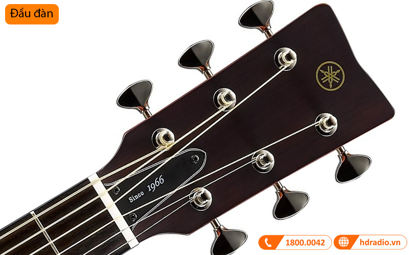 Đàn Guitar Yamaha FG5