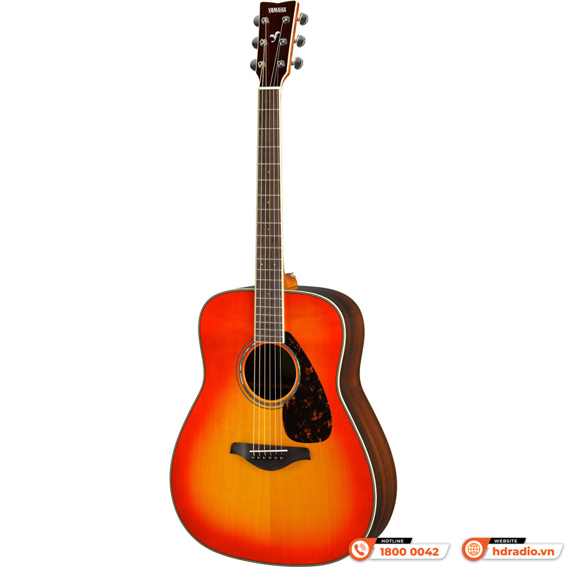 Đàn Guitar Yamaha FG830, guitar acoustic-2