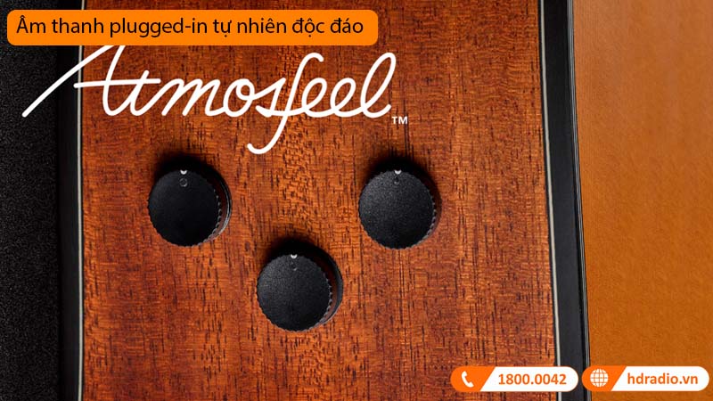 Đàn Guitar Yamaha FGX3