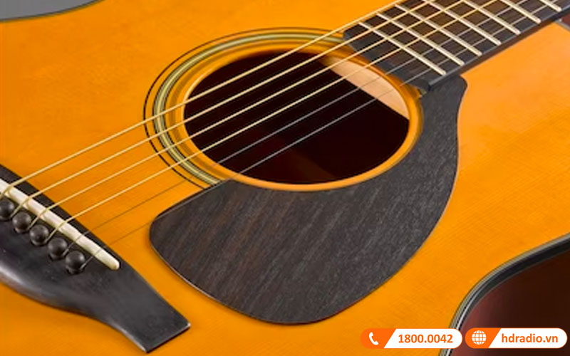 Đàn Guitar Yamaha FGX5
