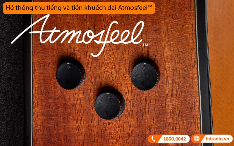 Đàn Guitar Yamaha FGX5