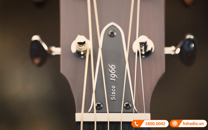 Đàn Guitar Yamaha FGX5