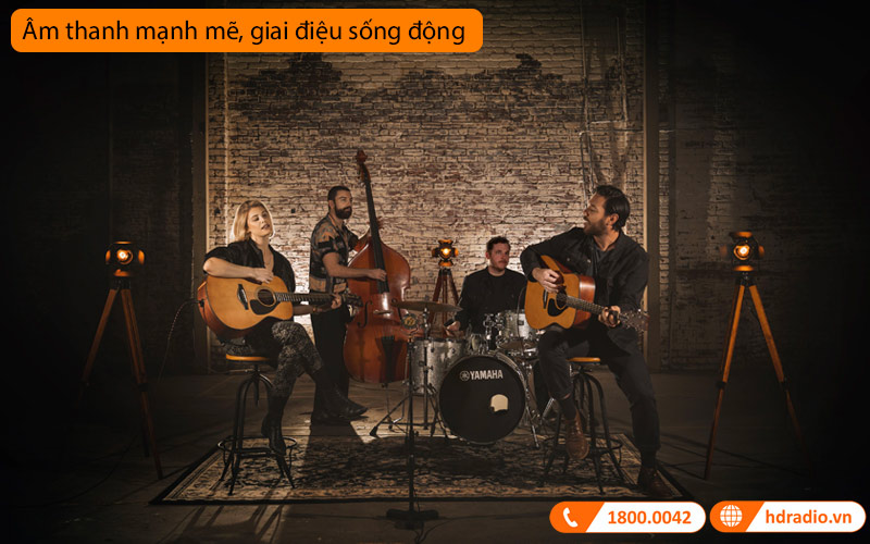 Đàn Guitar Yamaha FS3