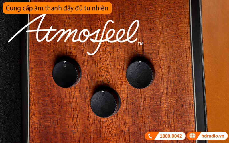 Đàn Guitar Yamaha FSX5