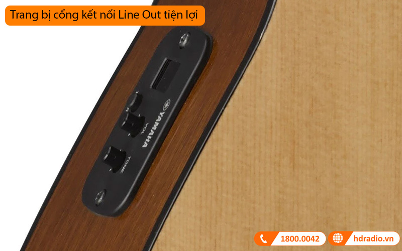 Đàn Guitar Yamaha FX310AII