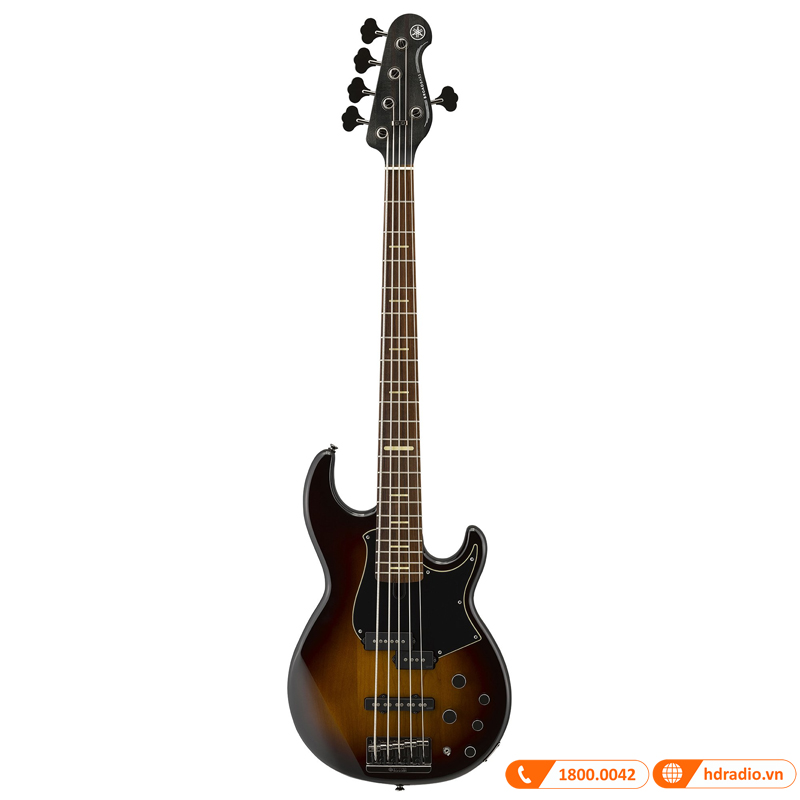Đàn Guitar Yamaha BB735A, guitar bass 5 dây-2