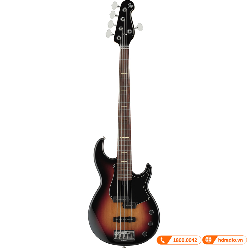Đàn Guitar Yamaha BBP35, guitar bass 5 dây-1