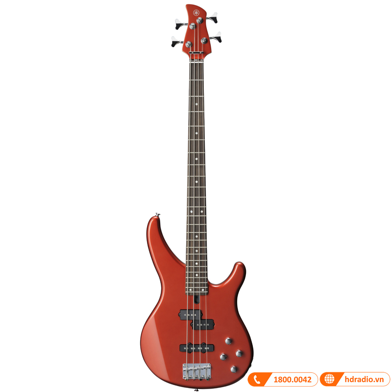Đàn Guitar Yamaha TRBX204-3