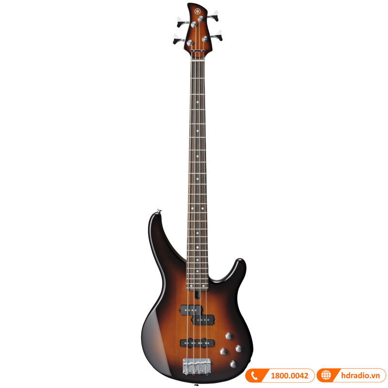 Đàn Guitar Yamaha TRBX204-4