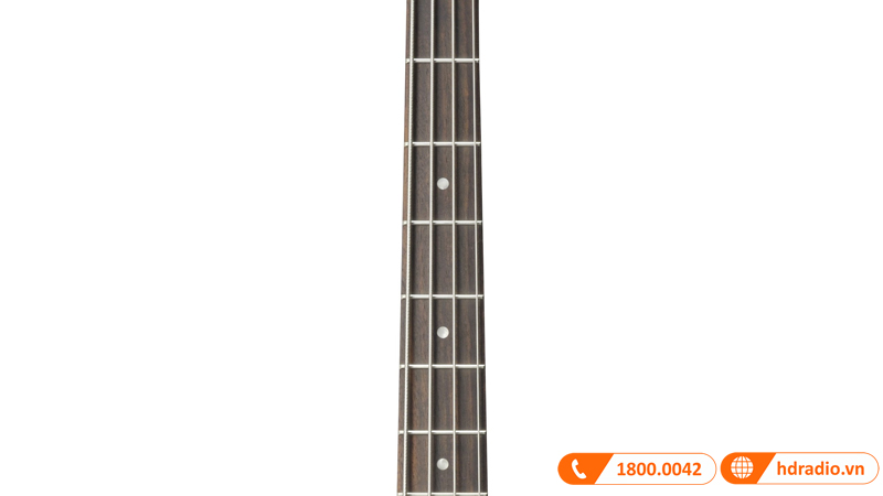 Đàn Guitar Yamaha TRBX204