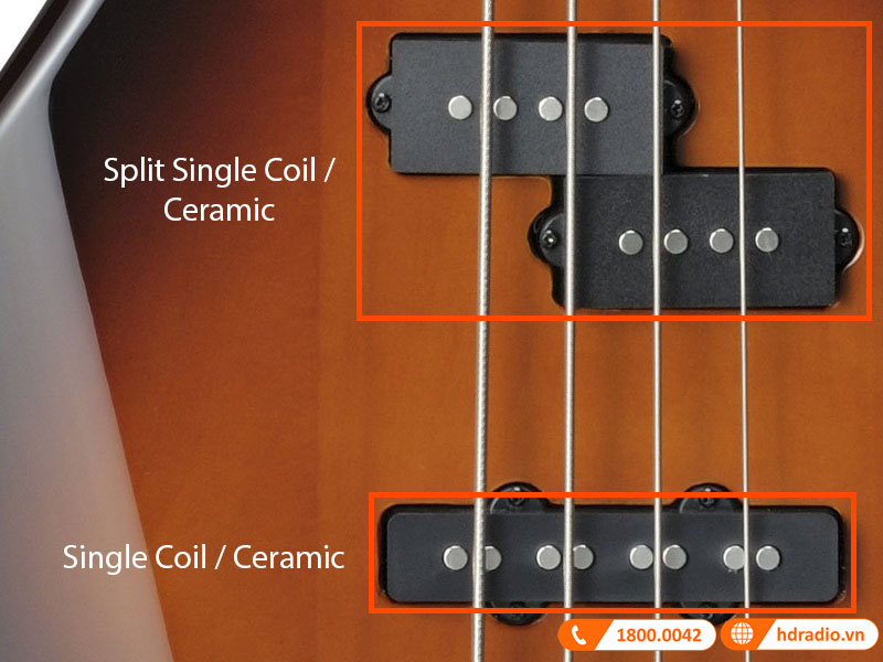 Đàn Guitar Yamaha TRBX204