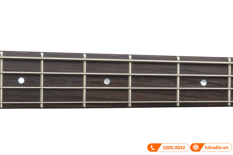 Đàn Guitar Yamaha TRBX304