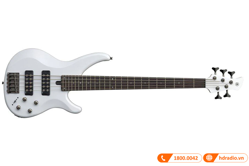Đàn Guitar Yamaha TRBX305