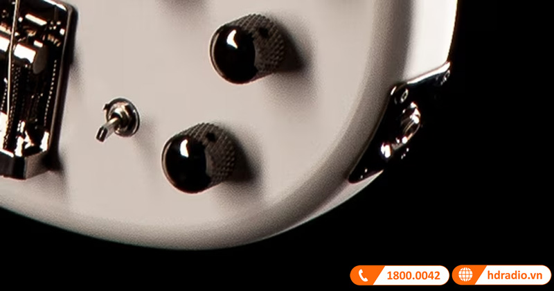 Đàn Guitar Yamaha TRBX505