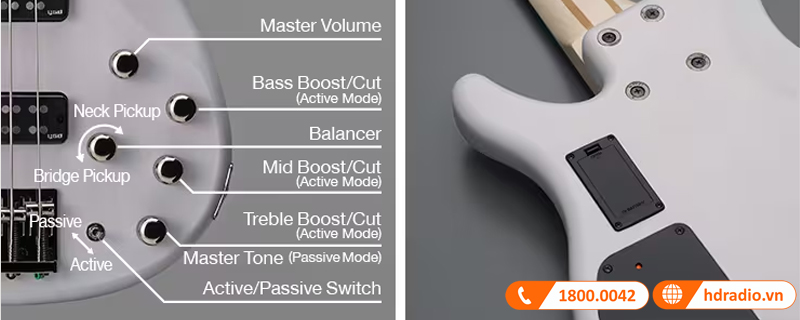 Đàn Guitar Yamaha TRBX505