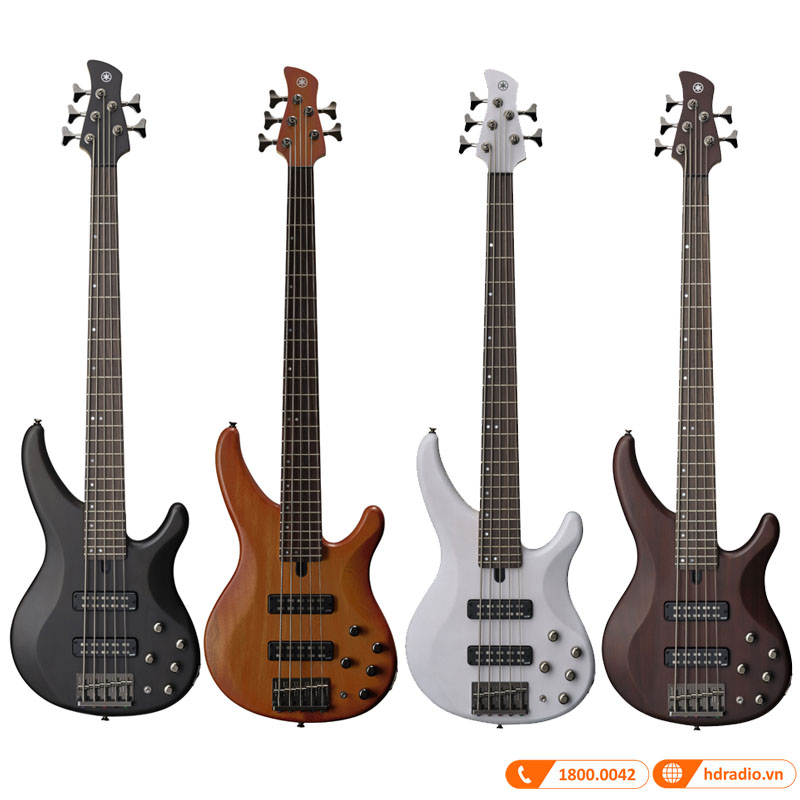 Đàn Guitar Yamaha TRBX505