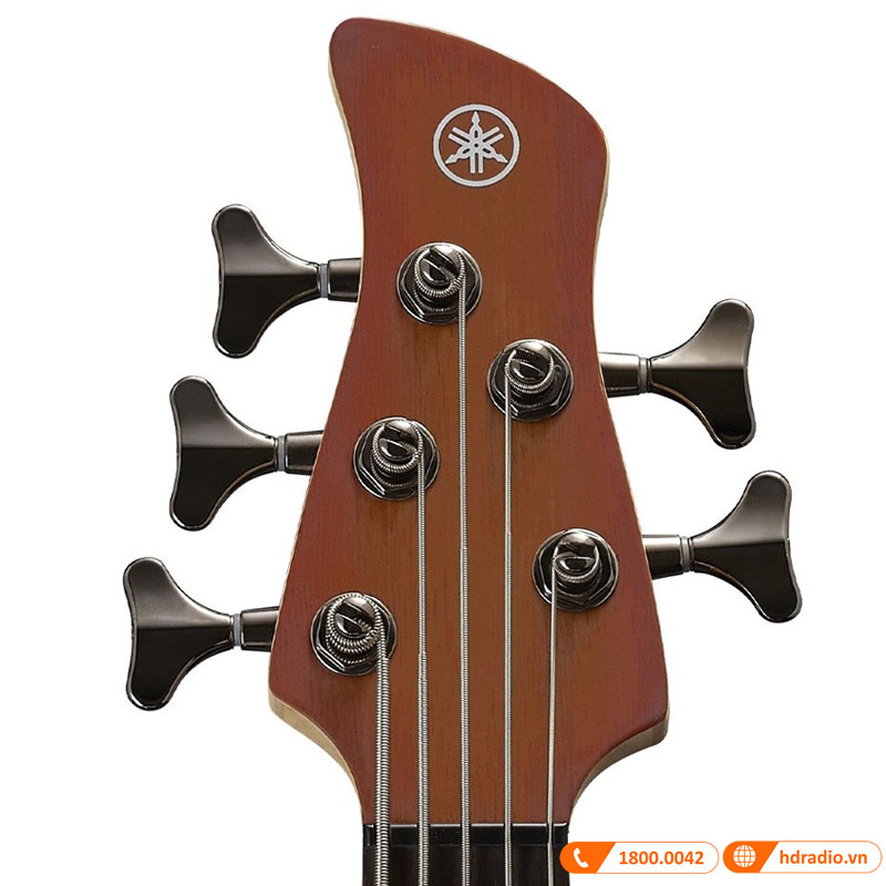Đàn Guitar Yamaha TRBX505, guitar bass 5 dây-5