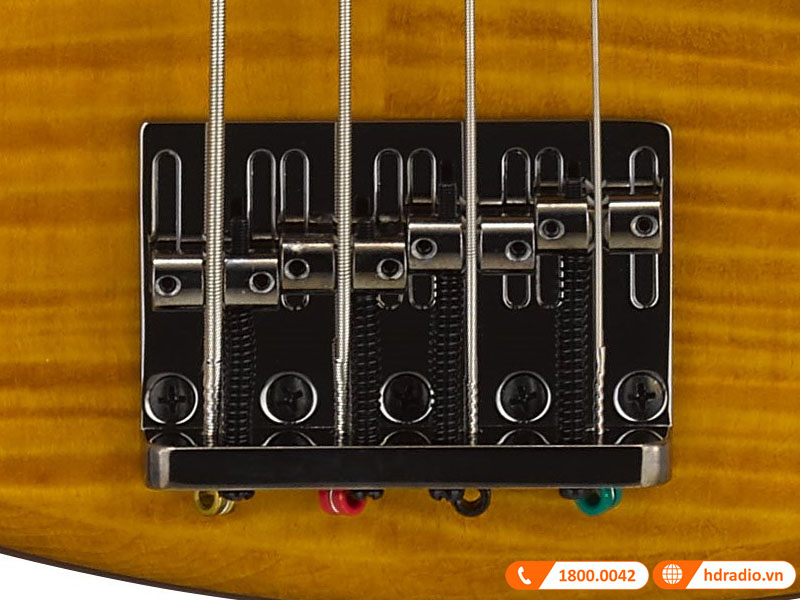 Đàn Guitar Yamaha TRBX604FM