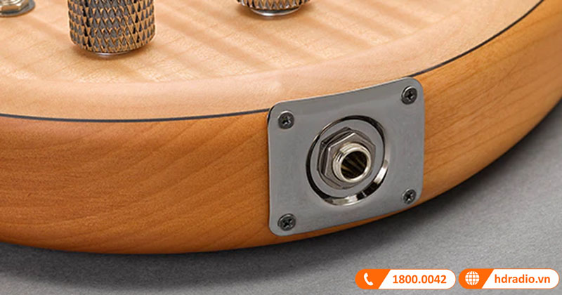 Đàn Guitar Yamaha TRBX605FM