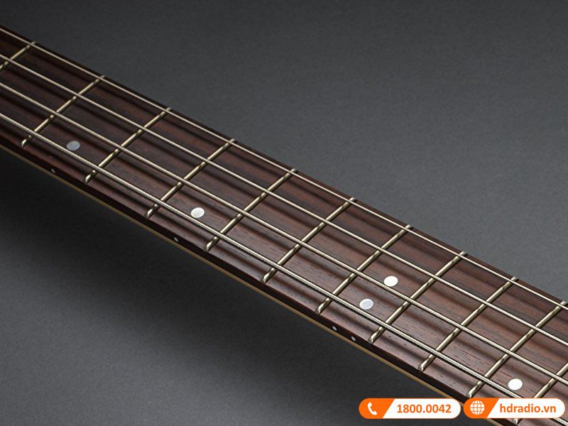 Đàn Guitar Yamaha TRBX604FM