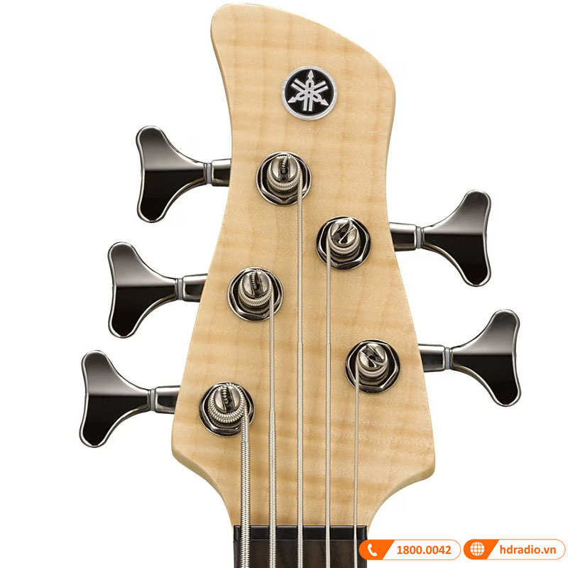 Đàn Guitar Yamaha TRBX605FM, guitar bass 5 dây-5