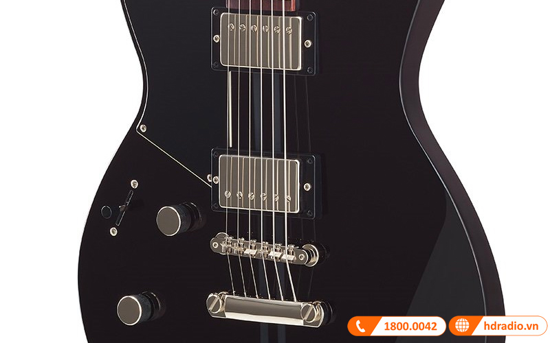 Đàn Guitar Yamaha RSE20L