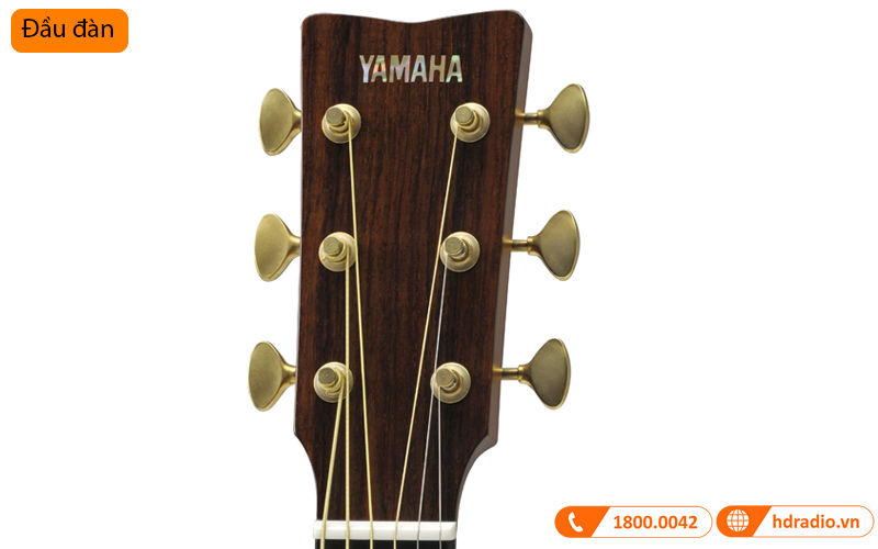 Đàn Guitar Yamaha LJ26 ARE