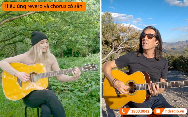 Đàn Guitar Yamaha LL-TA