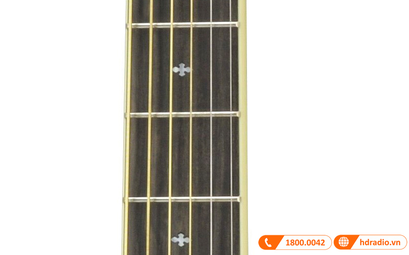 Đàn Guitar Yamaha LL16D ARE
