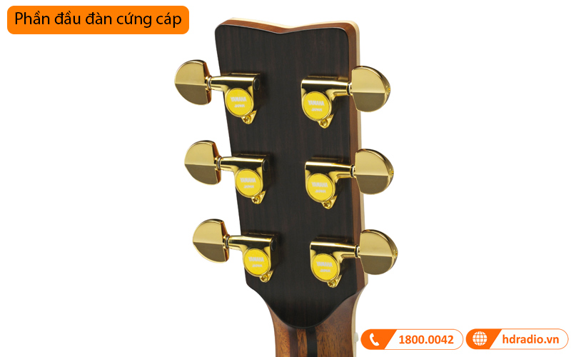 Đàn Guitar Yamaha LL36 ARE