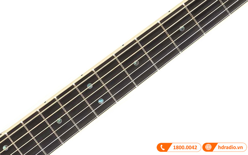 Đàn Guitar Yamaha LS-TA