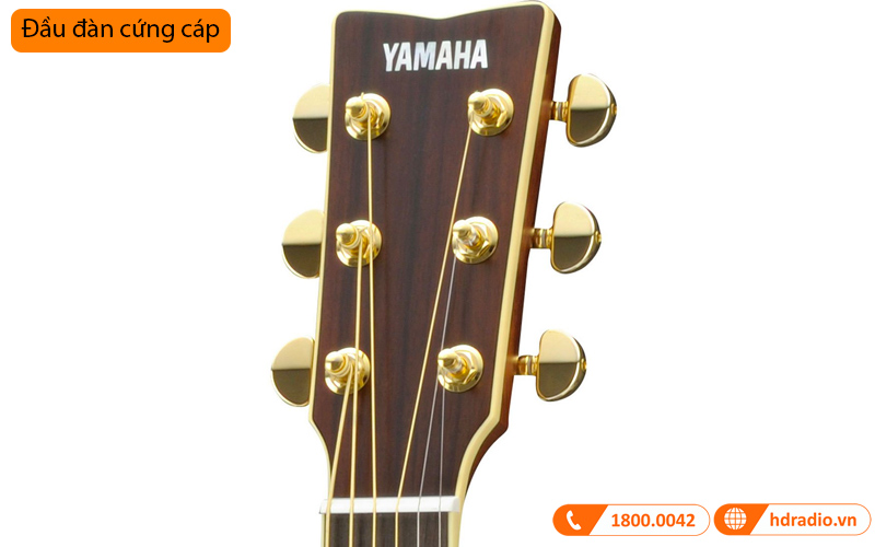 Đàn Guitar Yamaha LS16M ARE