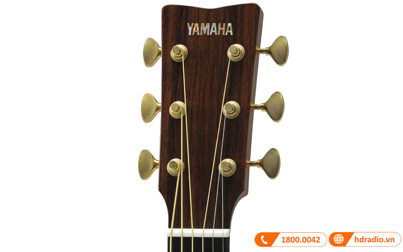 Đàn Guitar Yamaha LS26 ARE