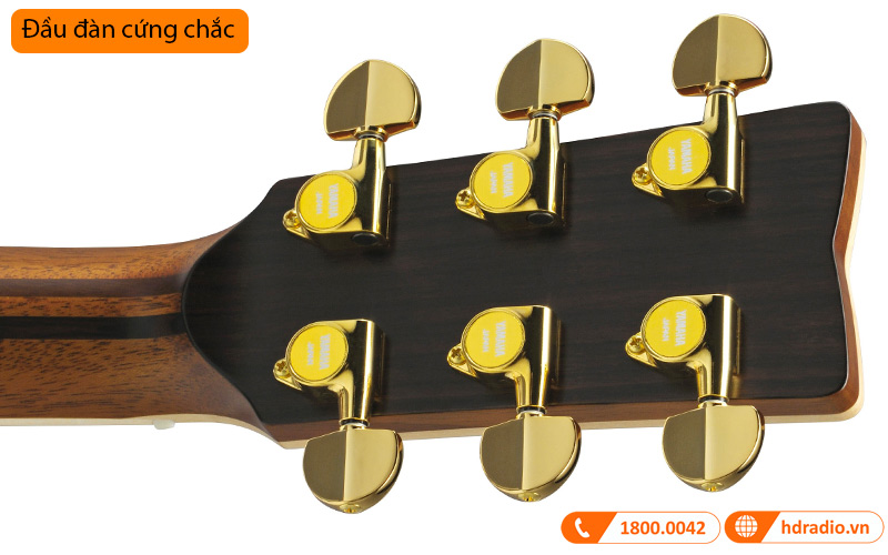 Đàn Guitar Yamaha LS36 ARE