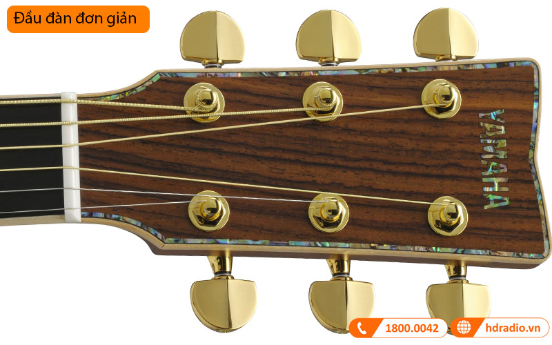 Đàn Guitar Yamaha LS56 Custom ARE