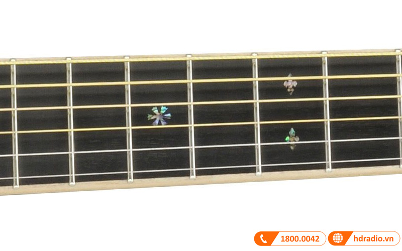 Đàn Guitar Yamaha LS56 Custom ARE