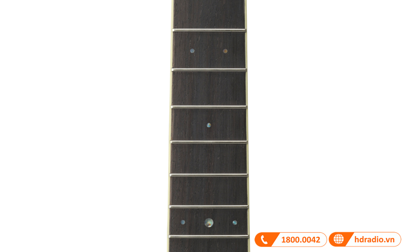 Đàn Guitar Yamaha LS6 ARE