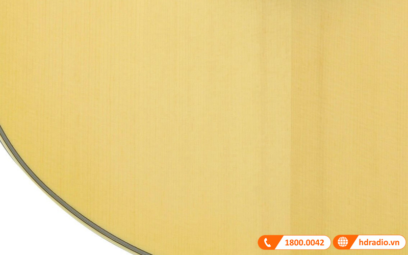 Đàn Guitar Yamaha LS6 ARE