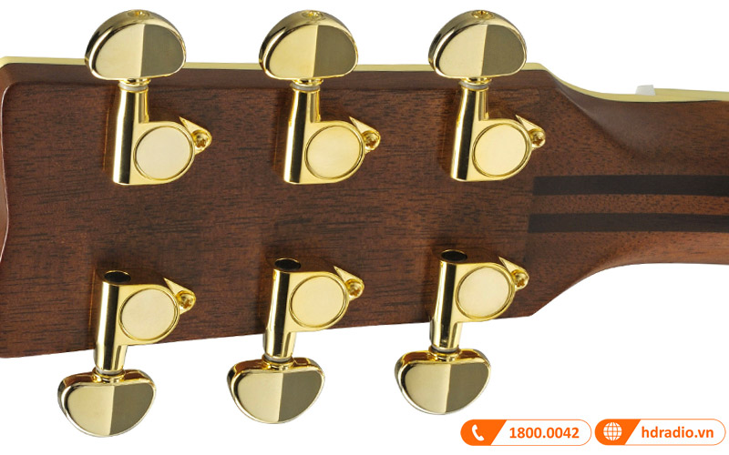 Đàn Guitar Yamaha LS6 ARE