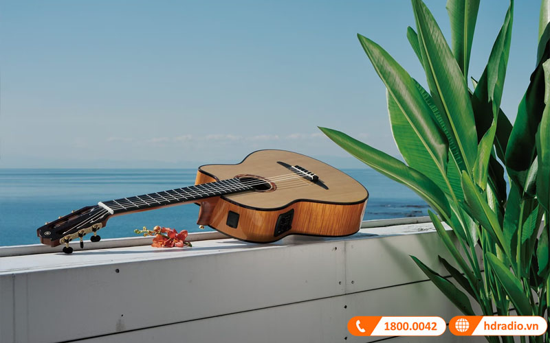 Đàn Guitar Yamaha NTX500