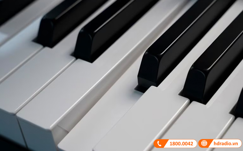 Đàn Organ Yamaha CK61, organ sân khấu-8