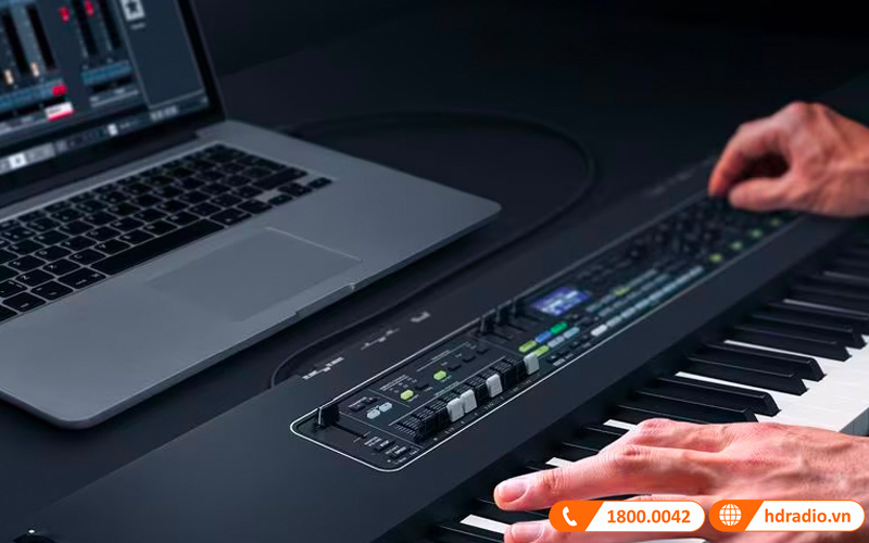 Đàn Organ Yamaha CK88, organ sân khấu-2