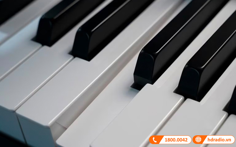 Đàn Organ Yamaha CK88, organ sân khấu-6