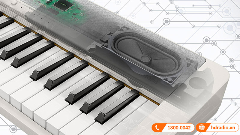 Đàn Organ Casio CT-S1, Standard Keyboard 61 phím-3