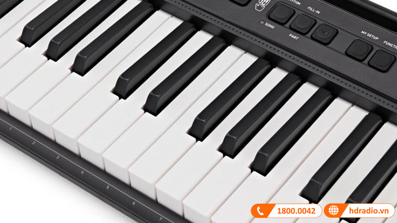 Đàn Organ Casio CT-S100-8