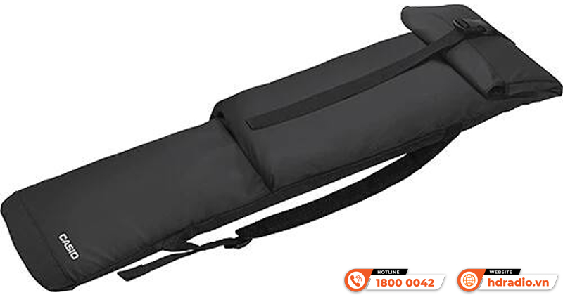 Đàn Organ Casio CT-S300