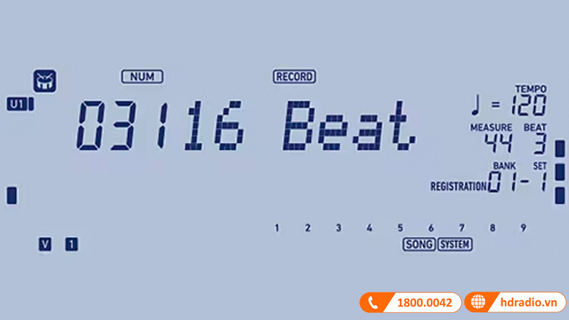 Đàn Organ Casio CT-X3000, Standard Keyboard 61 phím-17