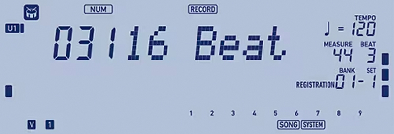 Đàn Organ Casio CT-X5000